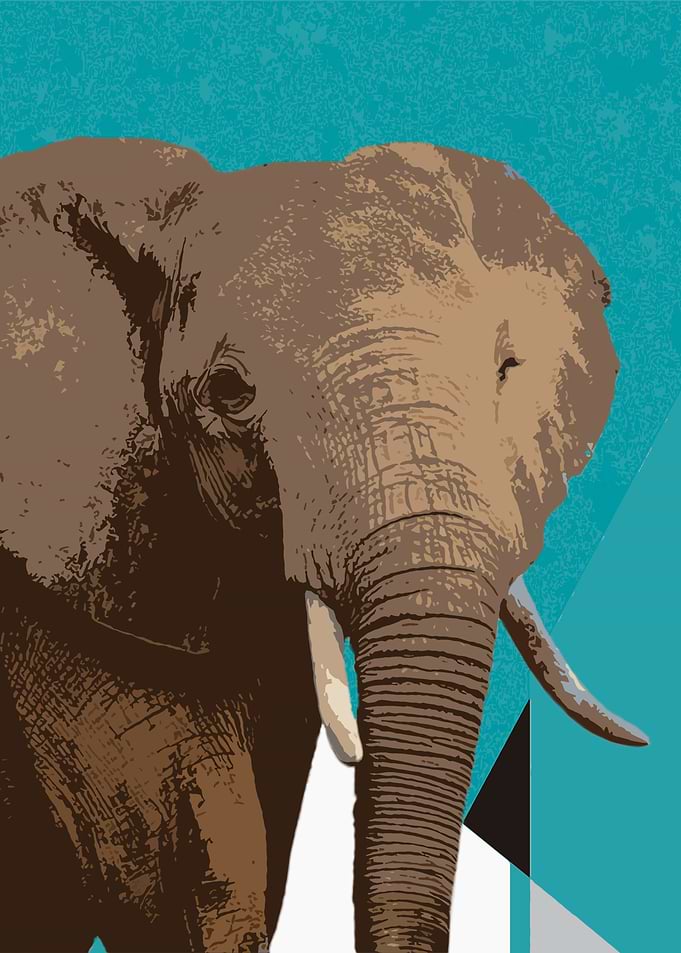 Blue Elephant