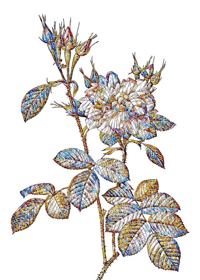Stained Glass Rose Flower