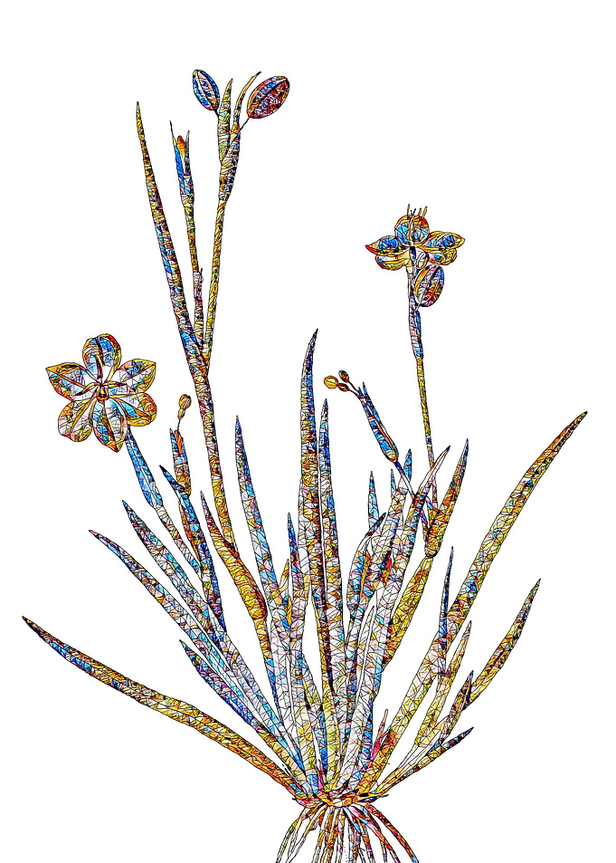 Prismatic Mosaic Floral