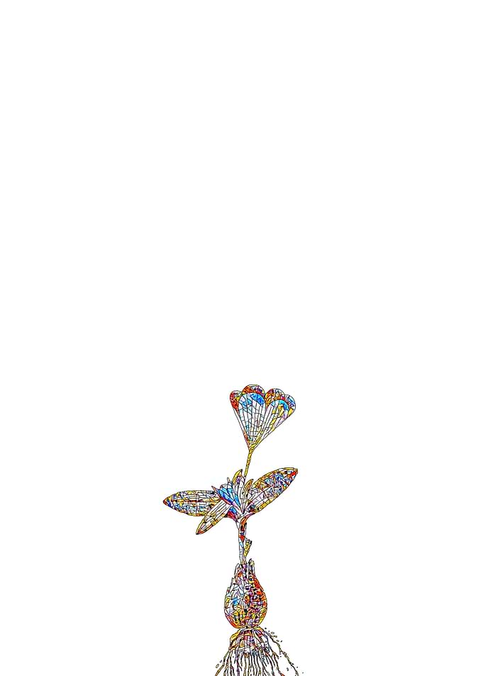 Stained Glass Tulip Flower