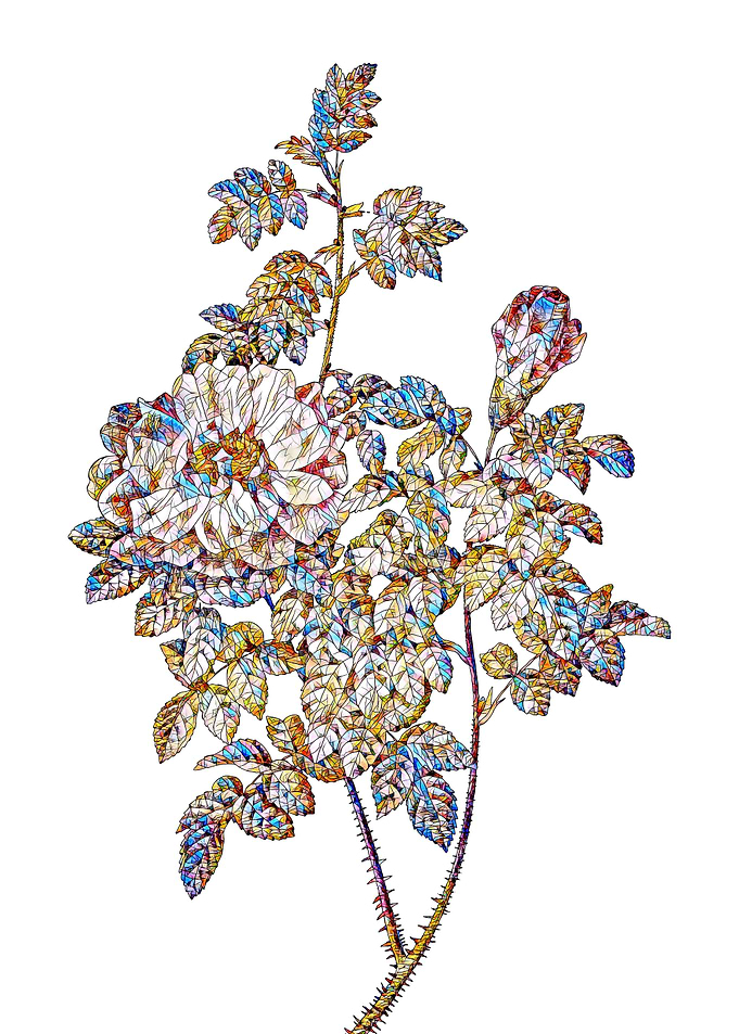 Stained Glass Rose Flower