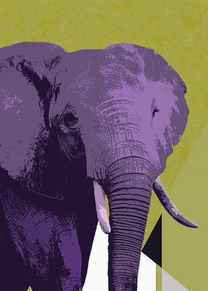 Purple Elephant