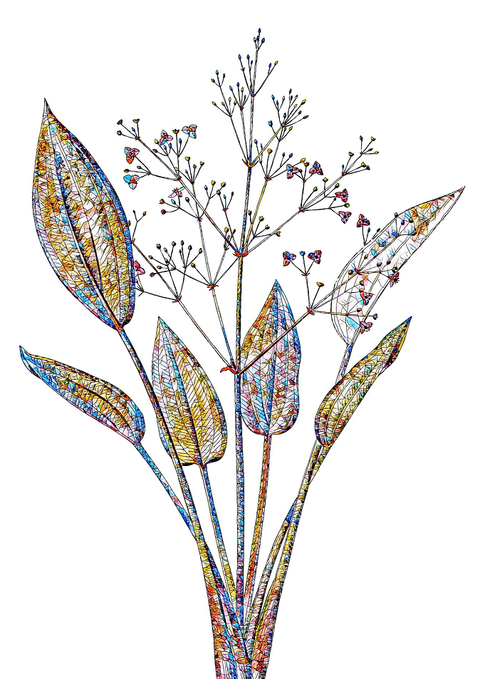 Stained Glass Botanical