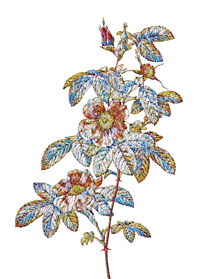 Stained Glass Rose Flower