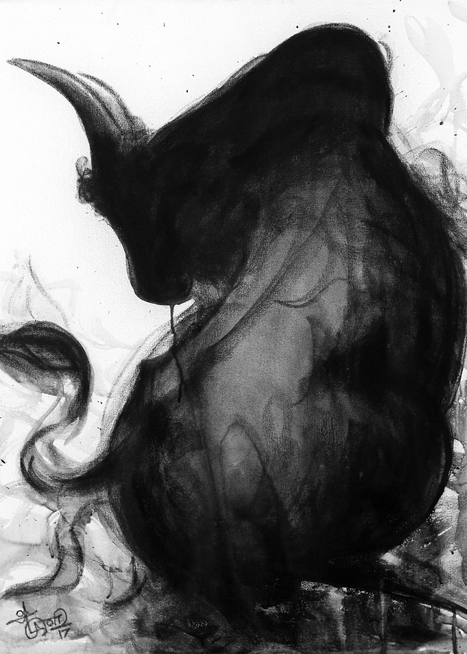 Bull 1