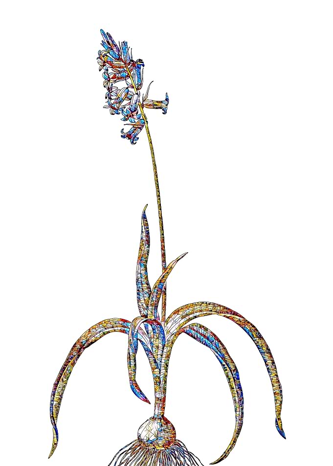 Stained Glass Botanical