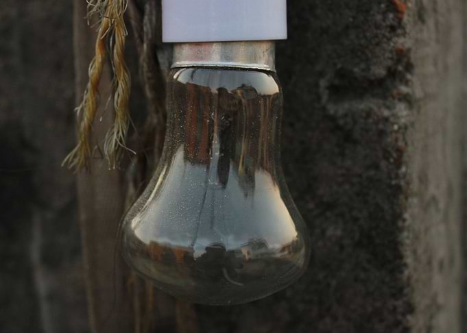 Bulb