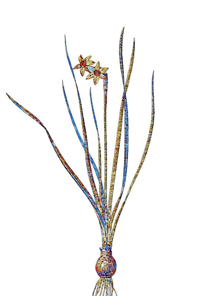 Rainbow Mosaic Flower