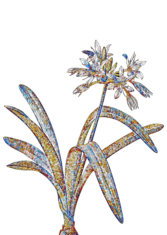 Rainbow Mosaic Flower