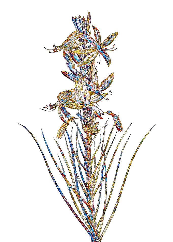 Stained Glass Botanical