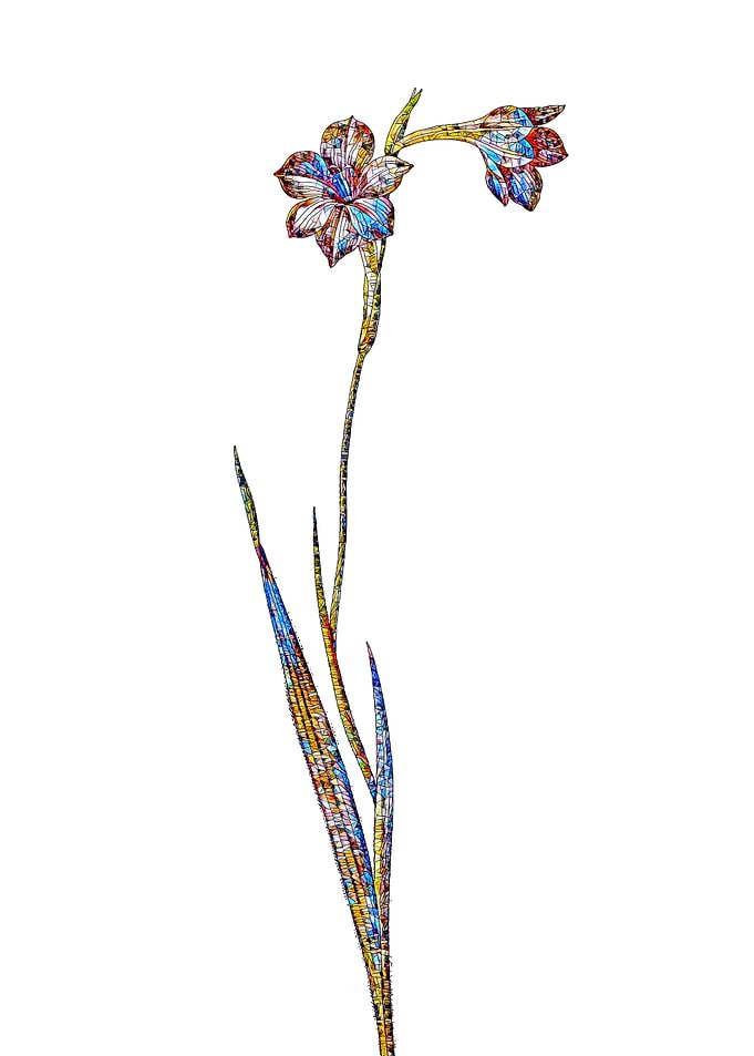 Stained Glass Lily Flower