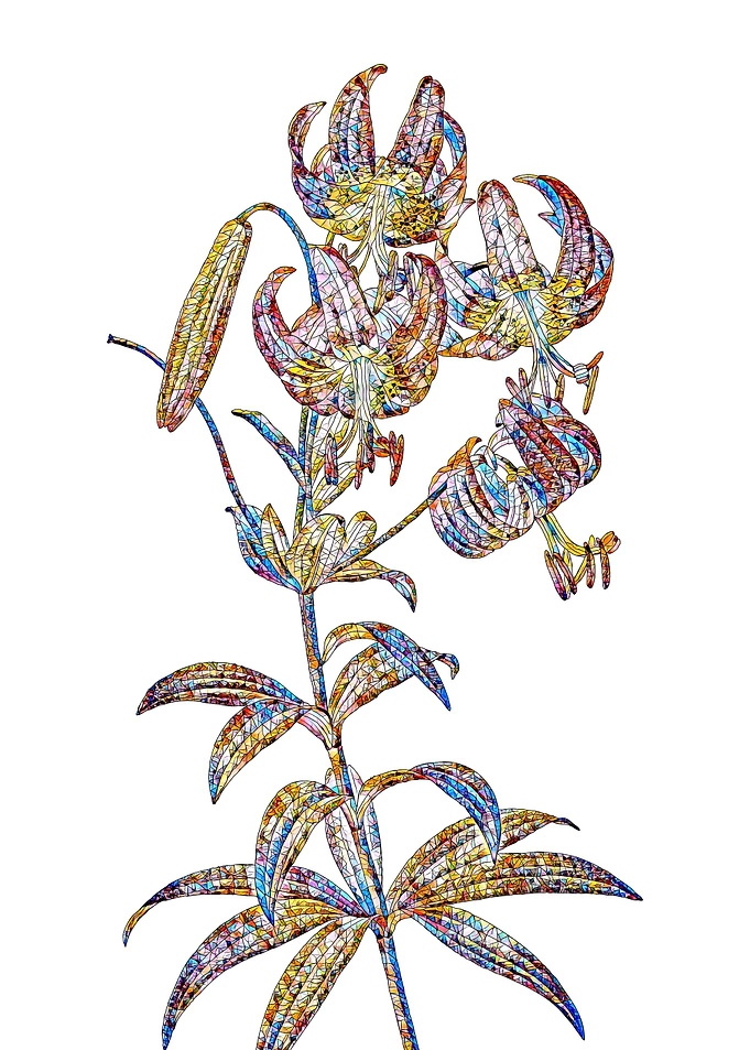 Stained Glass Lily Flower