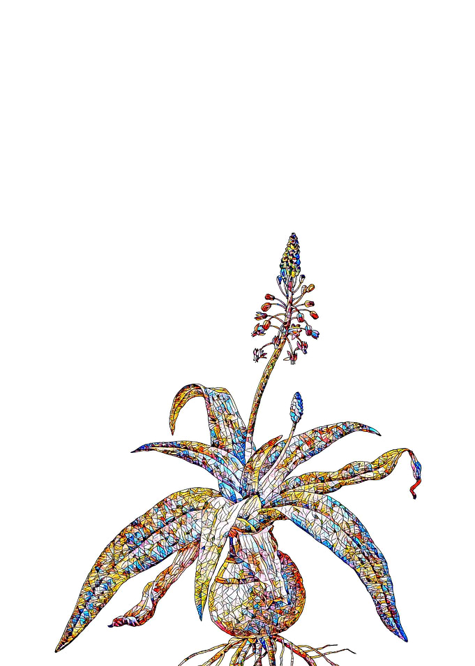 Stained Glass Botanical