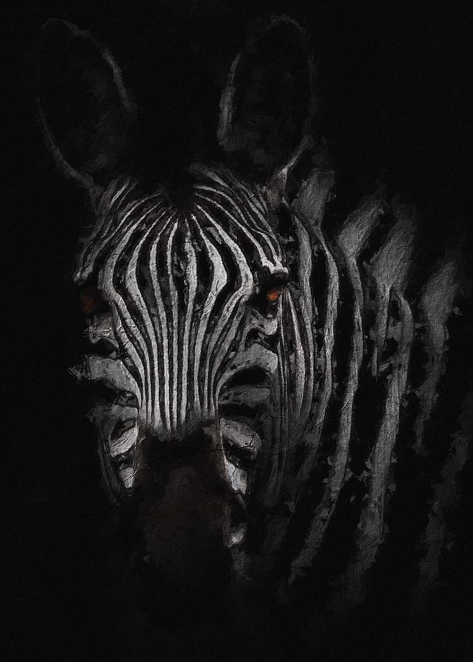 Bright eyed zebra