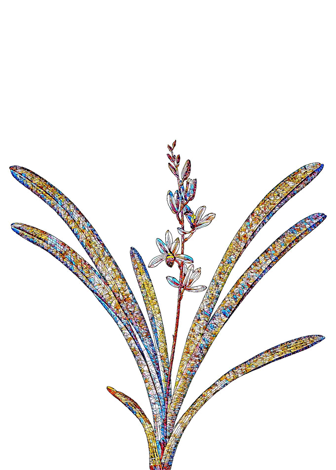 Stained Glass Botanical