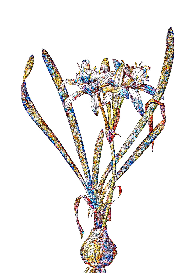 Stained Glass Daffodil