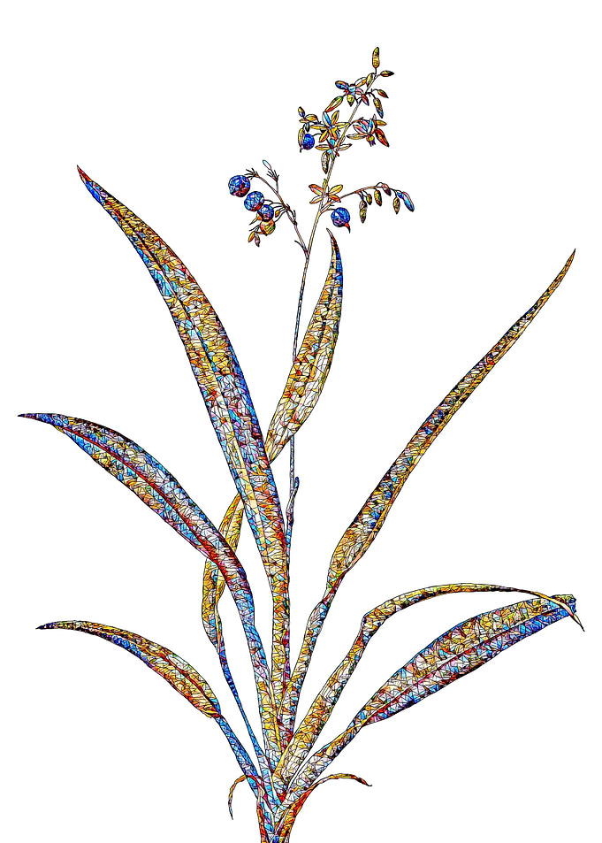 Stained Glass Lily Flower