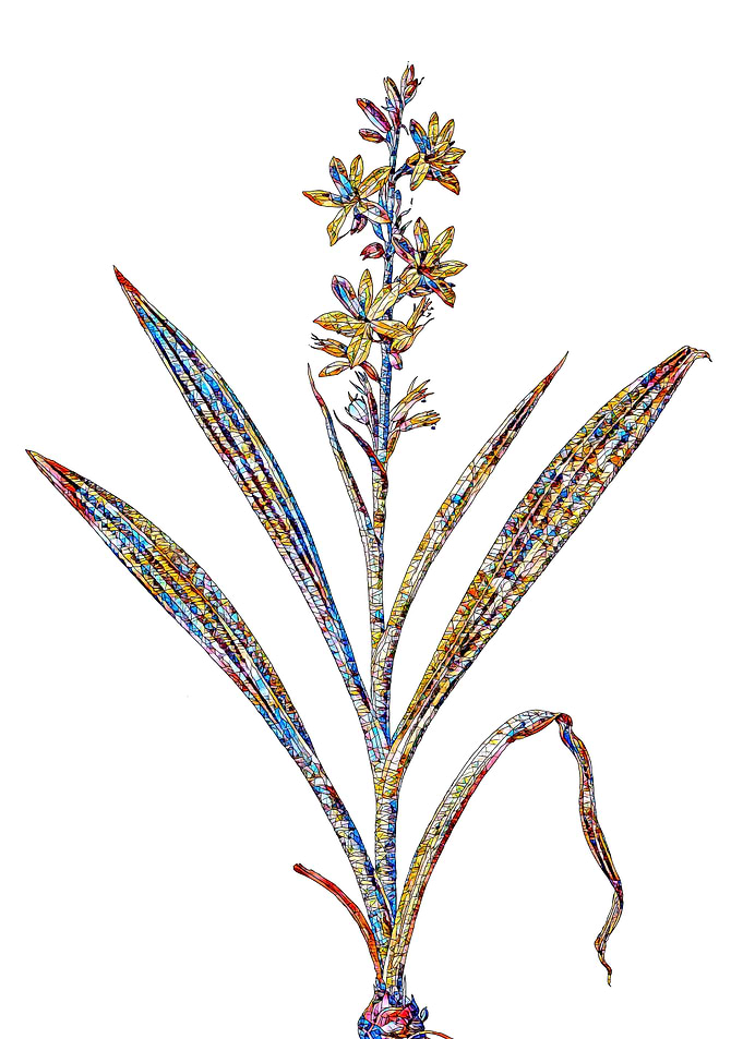 Prismatic Mosaic Floral