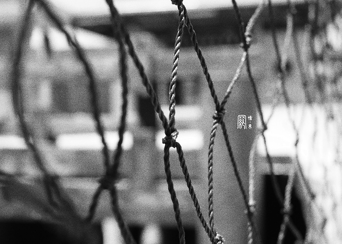 Fishing Net