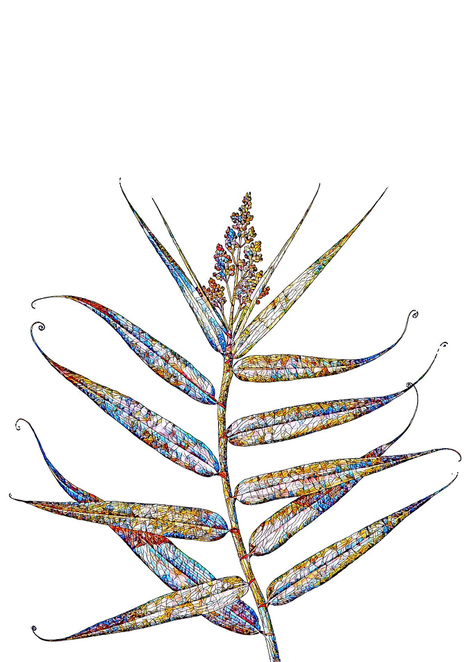 Stained Glass Botanical
