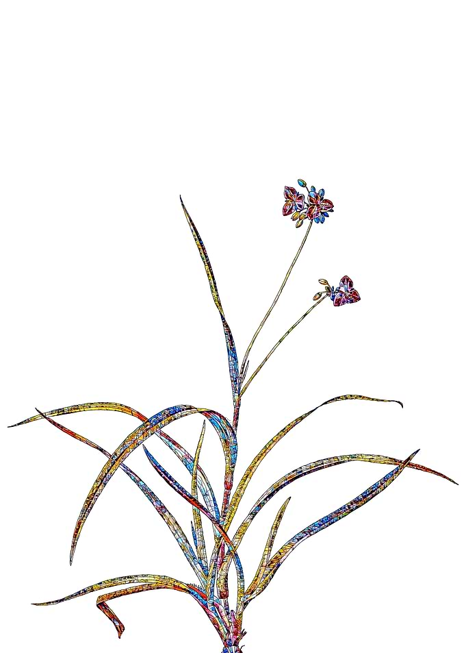 Prismatic Mosaic Floral