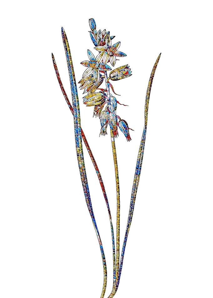 Stained Glass Botanical