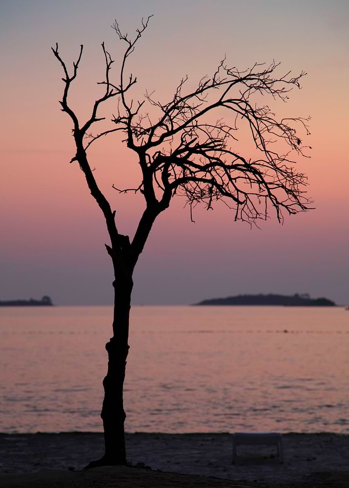 Loneliness drinking sunset