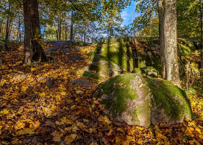 The Long Shadows