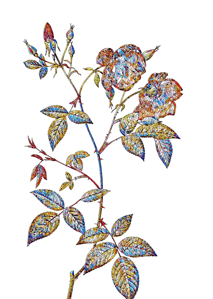 Stained Glass Rose Flower