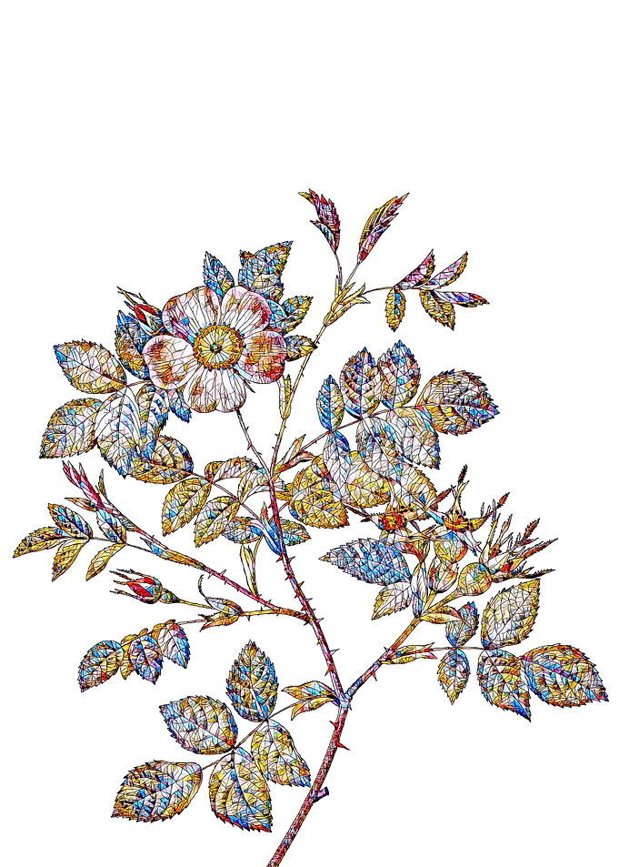 Stained Glass Rose Flower