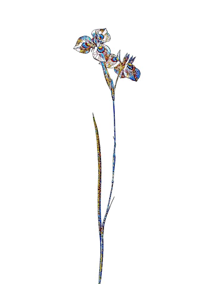 Prismatic Mosaic Floral