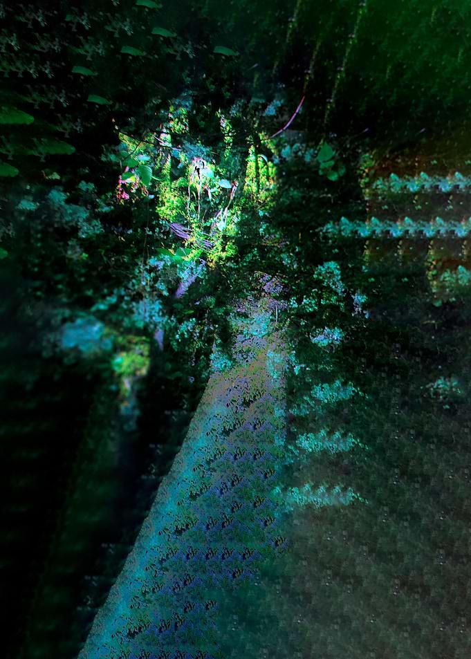 Image D