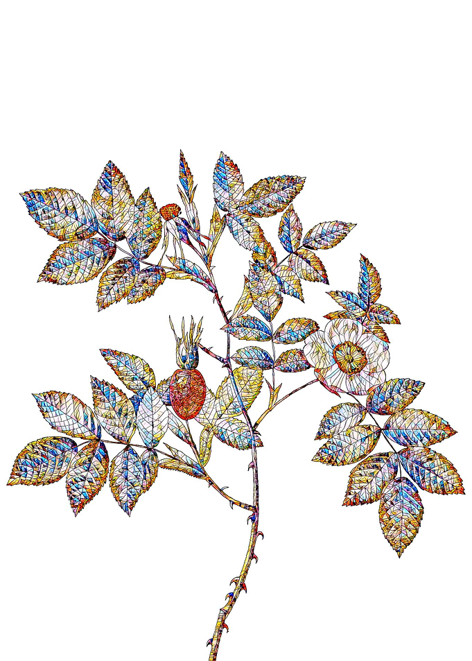 Stained Glass Rose Flower