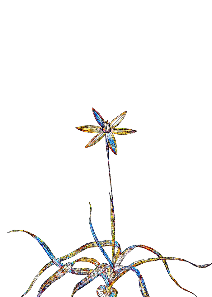 Stained Glass Botanical