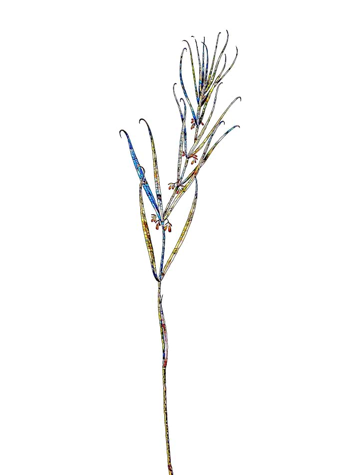 Rainbow Mosaic Flower