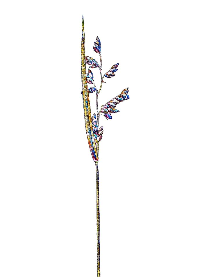 Rainbow Mosaic Flower