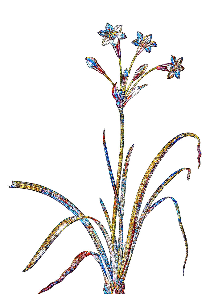 Stained Glass Botanical