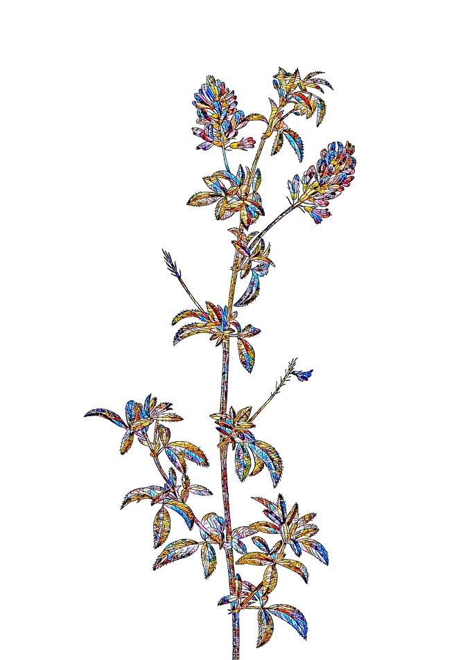 Prismatic Mosaic Floral
