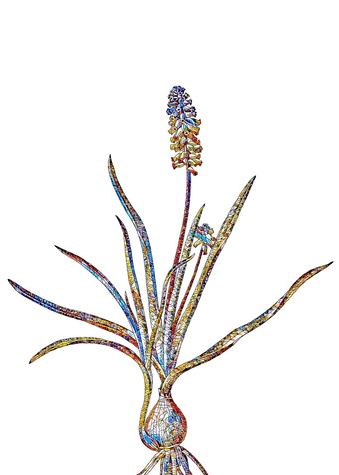 Stained Glass Botanical