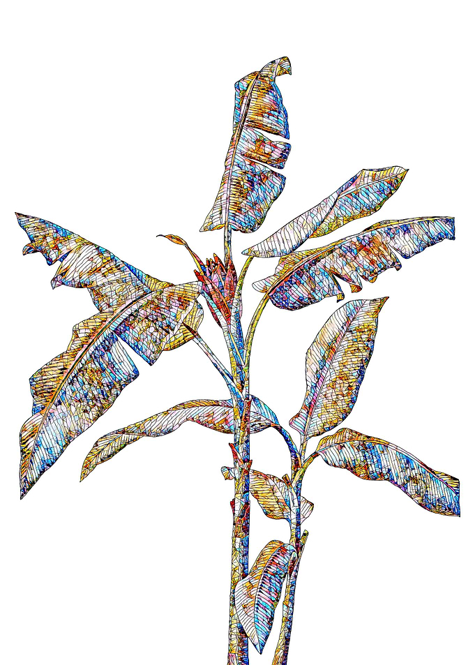 Rainbow Mosaic Flower