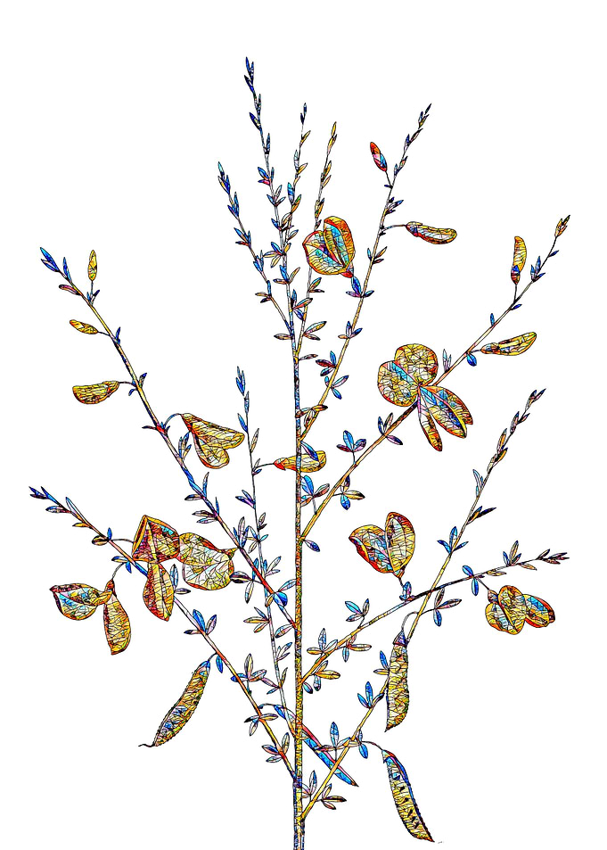 Prismatic Mosaic Floral