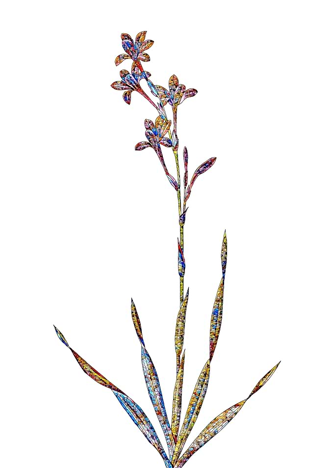 Stained Glass Lily Flower