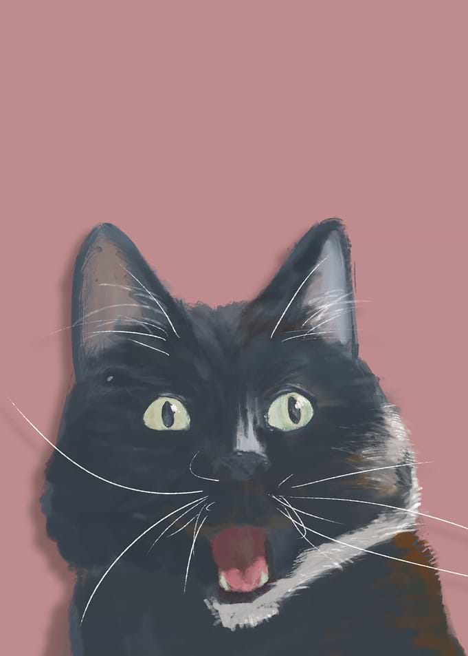 OMG Kitty