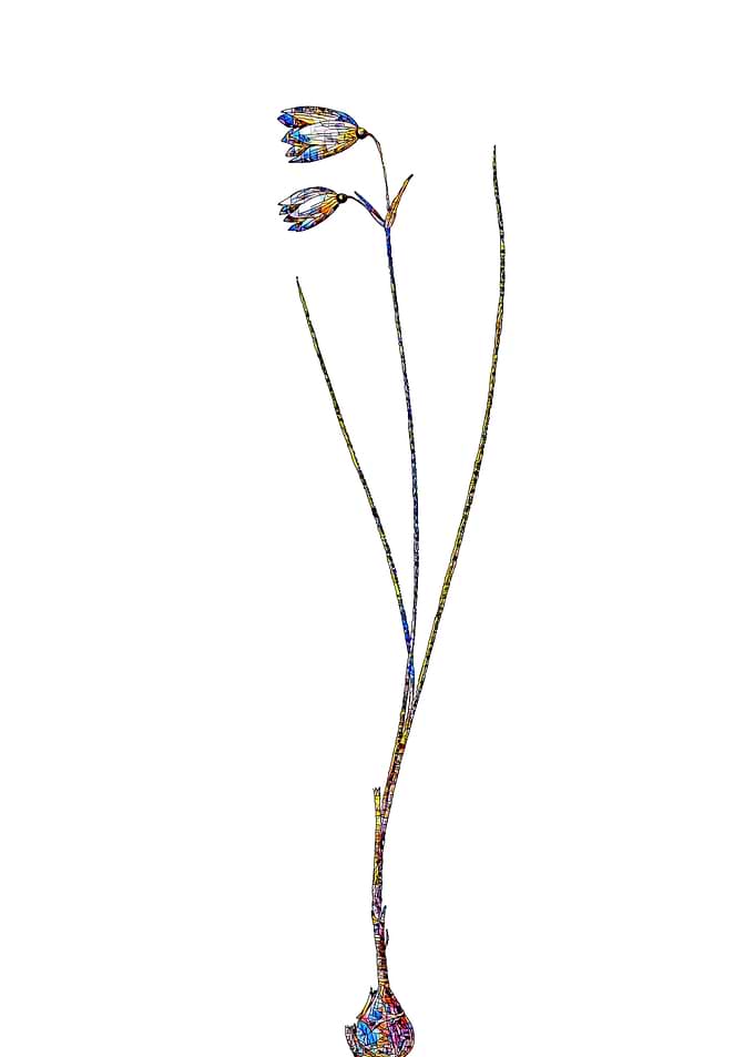 Rainbow Mosaic Flower