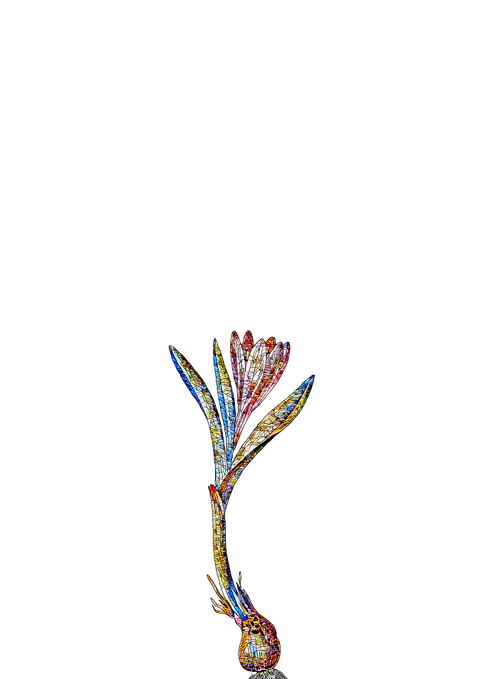 Prismatic Mosaic Floral