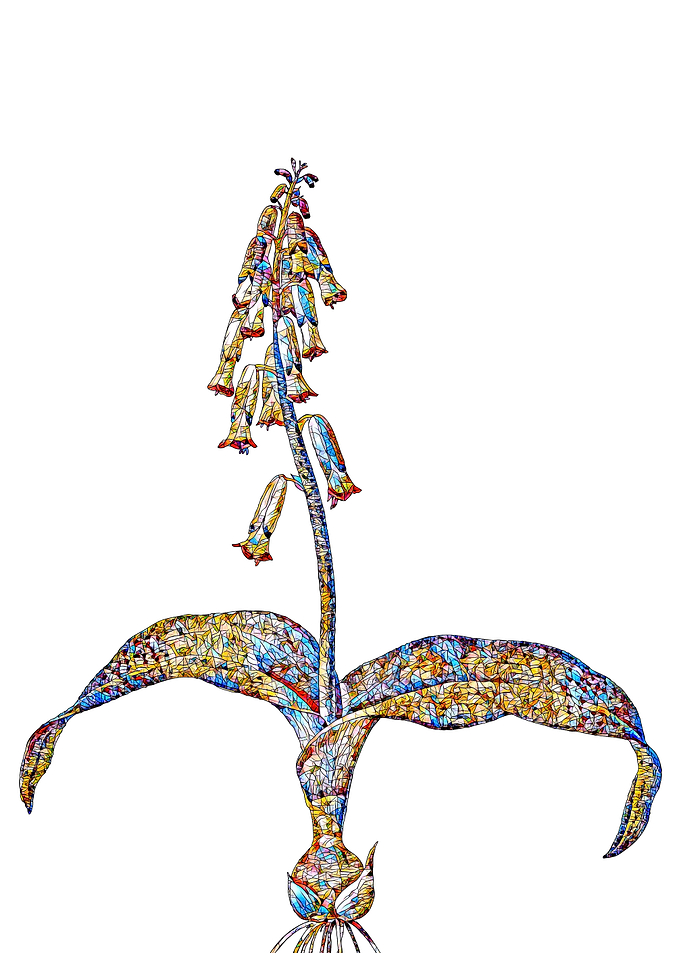 Prismatic Mosaic Floral