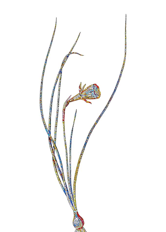 Stained Glass Daffodil
