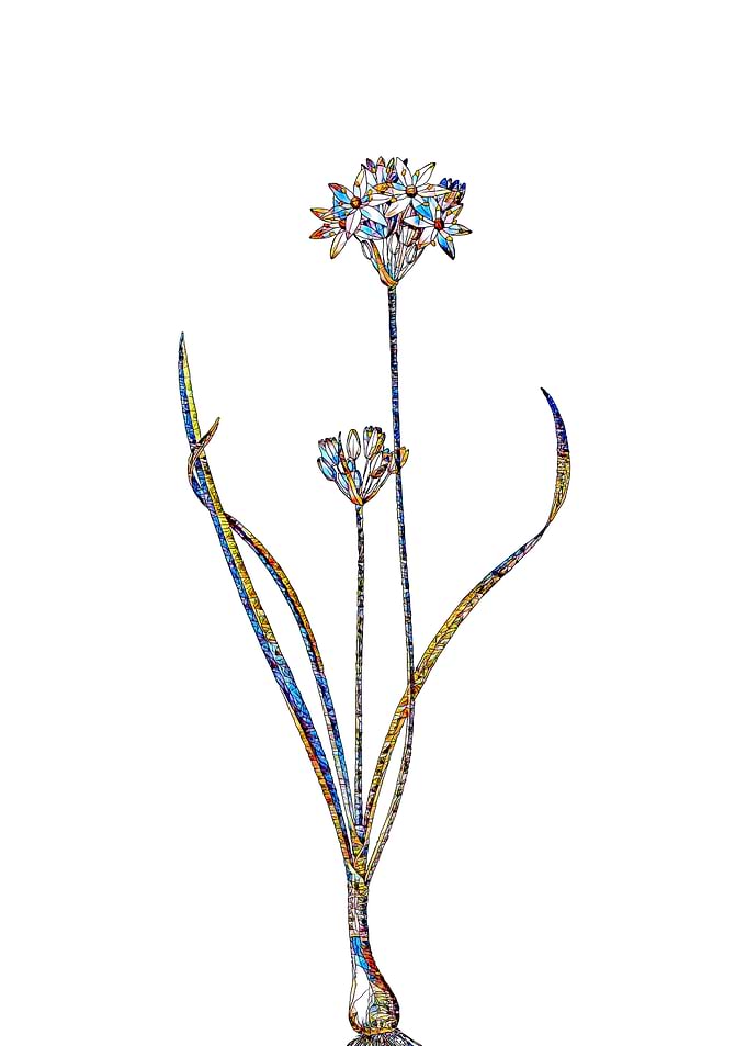 Prismatic Mosaic Floral