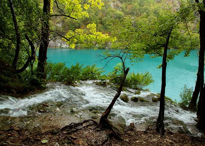 The Living Water