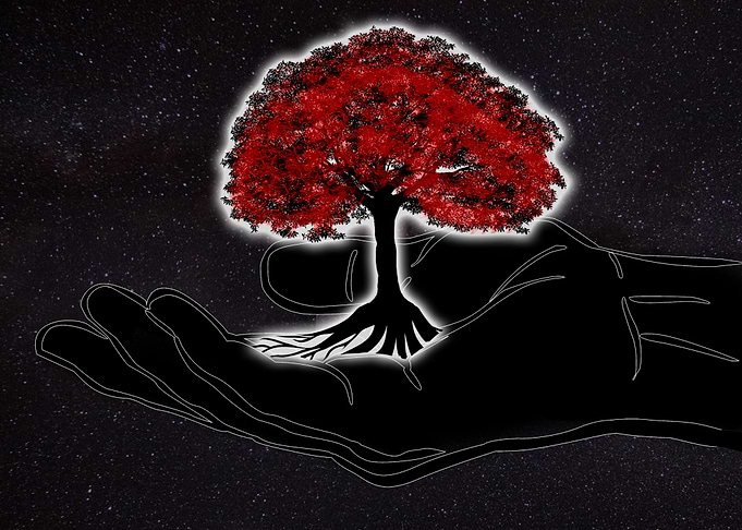 Tree of Life